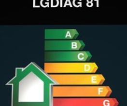 LGDIAG81 image 2