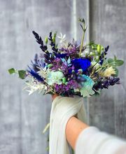 Nymphea Fleurs image 5