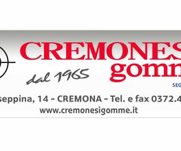 Euromaster Cremonesi Gomme immagine 7