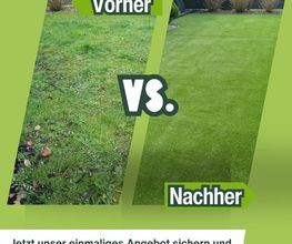 Rasenfox.de Bild 12