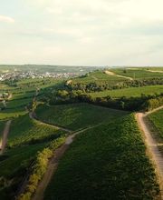 Dunkelblau Filmproduktion Bild 7