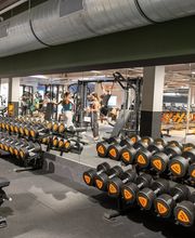 Basic-Fit afbeelding 2