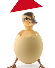 Meyer zu Hücker Die Dachmarke. Bild 5