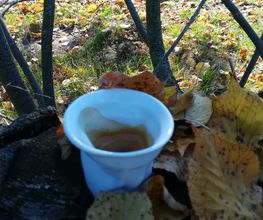 Cafe Tasse Inh. Birgit Fay Bild 3