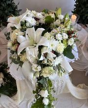 Garten & Floristik Prifling Bild 7