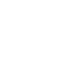 309007177-1-BSr5tTAnia1780395805541.png