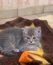 Elevage Kimy's Valey image 13