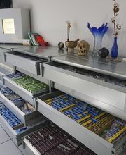 Ammann Thomas Bild 4