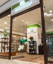 Ansicht des Teehaus Erfurt – Teefachgeschäft für exklusive Tees, stilvolle Geschenkideen, Weihnachtsgeschenke und Firmengeschenke. Das Teehaus befindet sich im Herzen von Erfurt und ist die erste Adresse für Teegenuss und Präsente in Erfurt, Weimar, Jena, Gotha und Arnstadt. Entdecken Sie über 400 Teesorten, liebevoll verpackte Geschenke und persönliche Beratung in gemütlicher Atmosphäre.