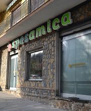 Gallery Cliente