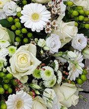 Blumengeschäft Löwenzahn Bild 1