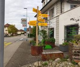 Burgherr Garten AG Bild 10