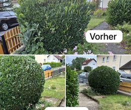 Grubers Entrümpelung + Hausmeisterservice und Tatortreinigung Bild 4