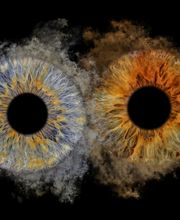 Studio Lichtwert Bild 3