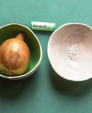 Wermelinger Anita Bild 4