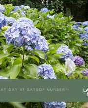 Satsop Landscaping & Nursery image 11