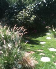 Royal Jardin sarl Bild 1