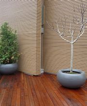 baumgartner gärtnerei Bild 3