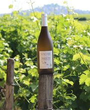 Millet Franck Sarl image 5