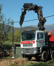 POL POSITION image 4