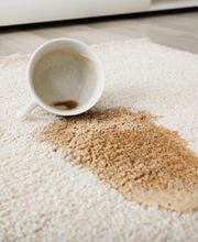 Premier Chem-Dry image 6