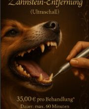 Screenshot 2025-10-23 172649.png