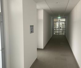 Rozic Bau GmbH Trockenbau und Ausbau Bild 14