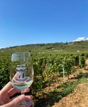 Domaine Besancenot EARL image 12