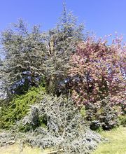 IMG_20260430_103035.jpg