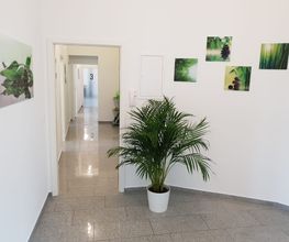 Physio Philipp Bild 7