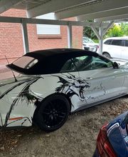 WhatsApp Bild 2025-09-01 um 11.50.17_28fb1db3.jpg