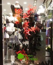 corseteria-el-trebol-sujetadores-05.jpg