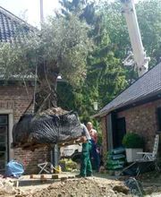 Gartenbau Anton Siemens Köln