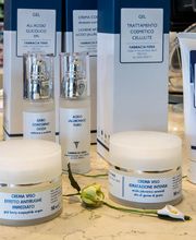 Gallery Professionale