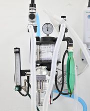 Benitez Animal Hospital image 2