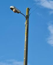 Breizh Nuisibles Services image 18