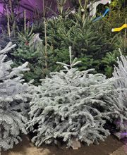 Aux Relooking image 16