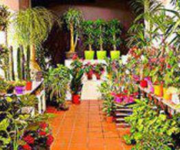 floristeria-garden-ocaflor-floristeria-interior-01.jpg