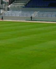 Die Wühlmäuse Frohs eK Bild 6