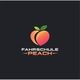 Fahrschule Peach GmbH