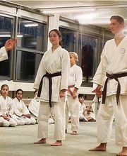 Krav Maga Illnau Effretikon/Karate-Do Basilisk Bild 3