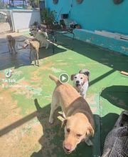 La Huella Azul S.L. imagen 13