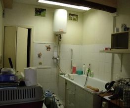 Aline Toilettage image 7