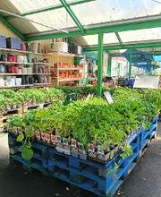 GAMM VERT image 12
