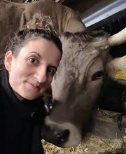 Kuhwerk Nutztierhomöopathie Gubser Bild 3