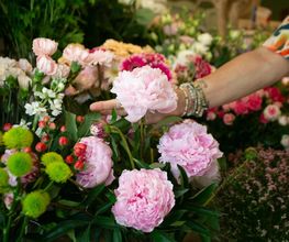 Les Fleurs de Cuers image 9