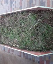 Hausmeisterdienst-Salzmann Bild 19