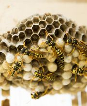 Dachservice 4you GmbH Bild 6