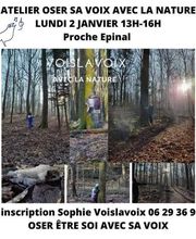 Sophie VoisLaVoix image 18