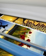 Gallery Cliente